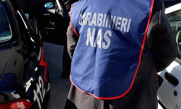Controlli Nas in provincia di Avellino: 151 ispezioni, sequestri di oltre 1,2 milioni di euro