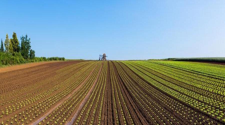 Agricoltura e Pnrr, la Campania chiede 641 milioni al Governo