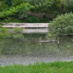 Contratti di fiume, D’Amelio e Bonavitacola a Torella dei Lombardi