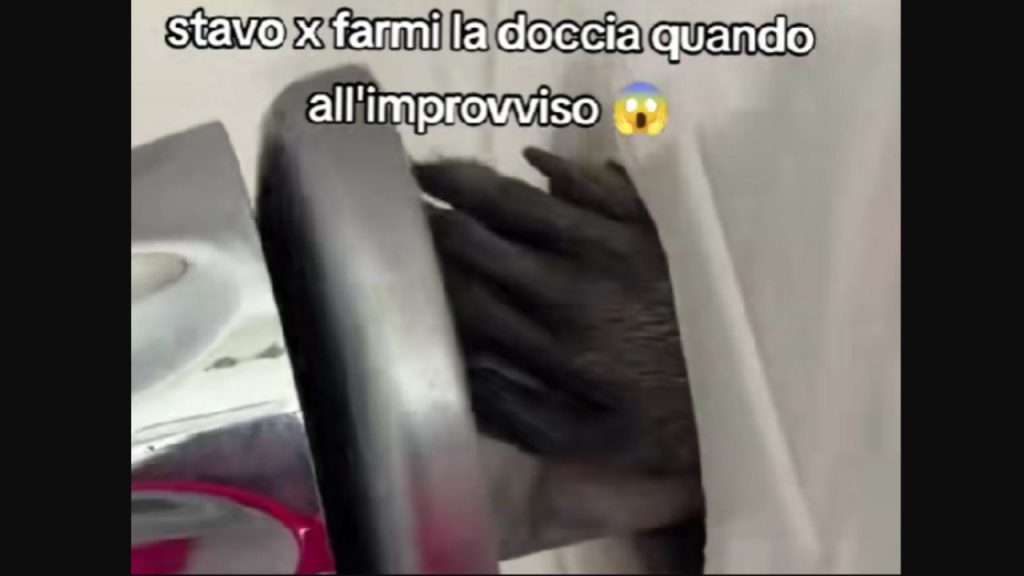 il sarchiapone