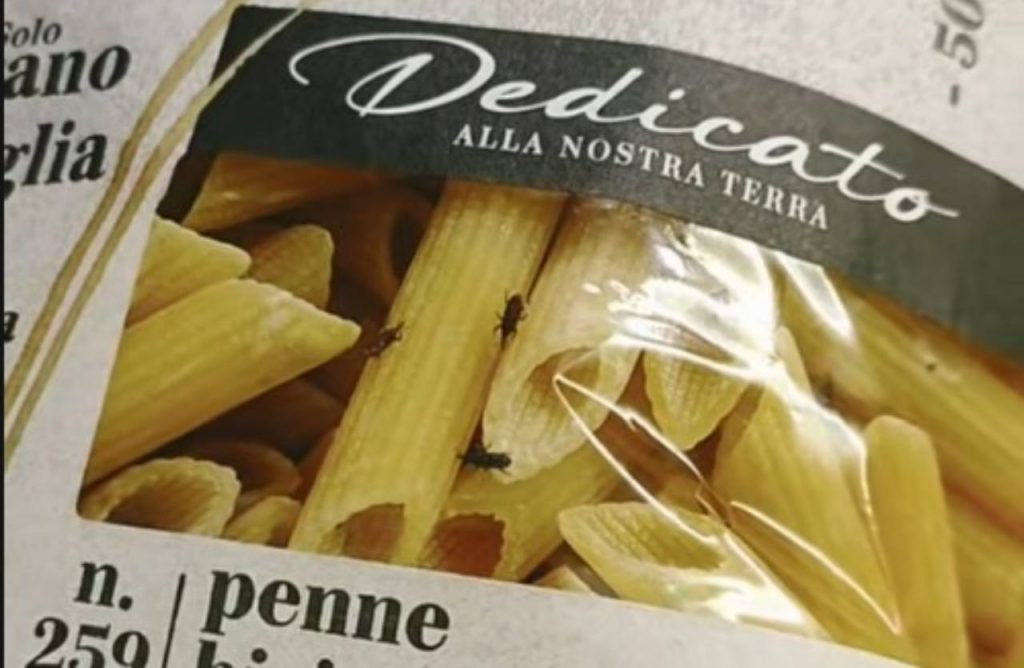 pasta con insetti
