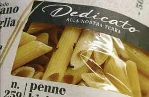 pasta con insetti