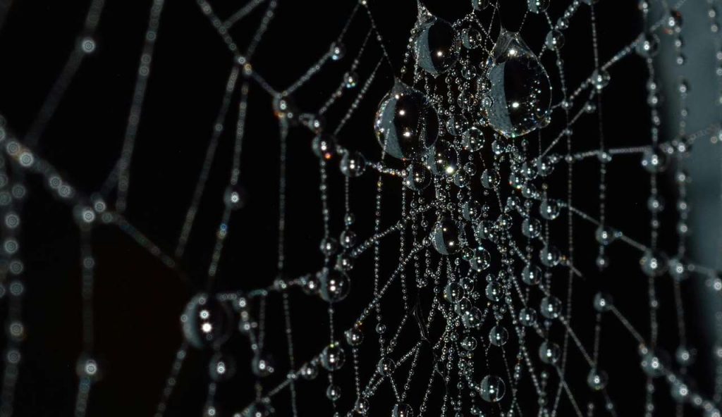 Condizionatore invernale, il trucco della “ragnatela” per ridurre la bolletta energetica | Così paghi molto meno