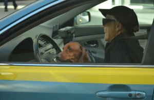 donna anziana che guida